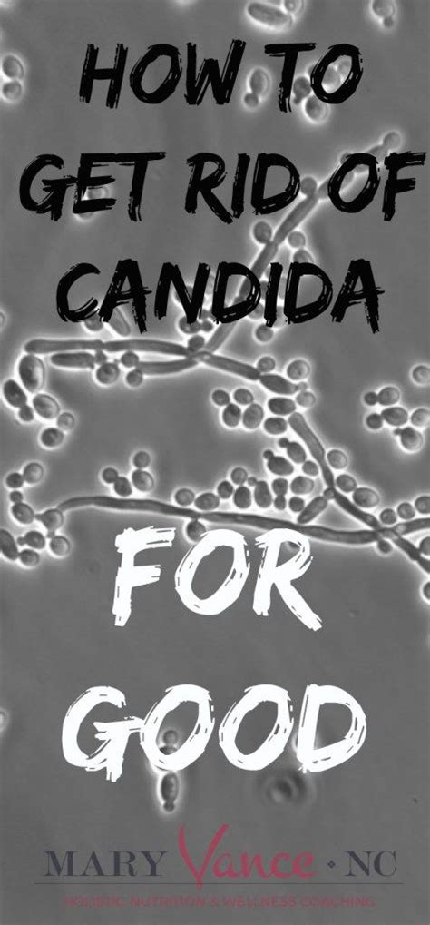 How To Get Rid Of Candida Overgrowth—for Good Get Rid Of Candida