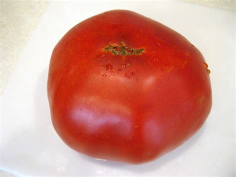 We did not find results for: Tomato 'Garden Leader Monster' Seeds (Certified Organic ...