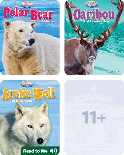 Tundra Ecosystem Childrens Book Collection Discover Epic Childrens