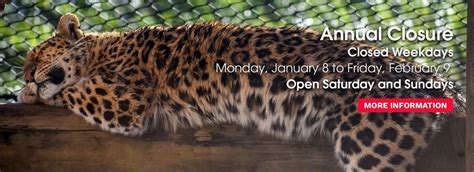 Greenville Zoo Sc Official Website