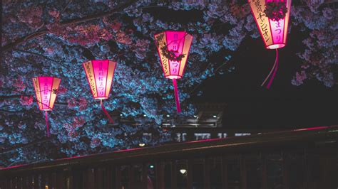 2560x1440 Japan Night Cherry Blossom Trees Lantern Glowing Night 1440p