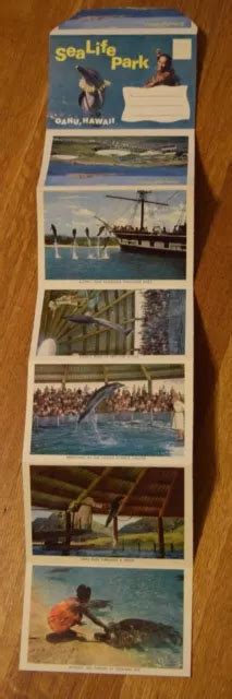 Sea Life Park Oahu Hawaii Vintage Postcard Book Souvenir Pictorial