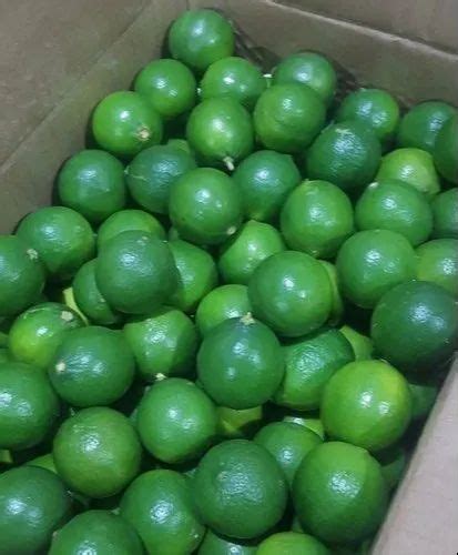 A Grade Maharashtra Indian Green Lemons Packaging Size 5 Kg