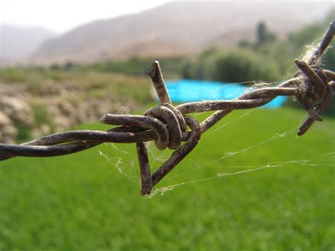 LAND PROTECTION THROUGH BARBED WIRE FENCING AT REASONABLE COSTS ...