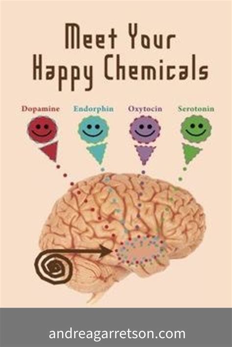 But what kind of happiness exactly are we talking about? Happiness in a cup! | Brain facts, Psychology, Serotonin