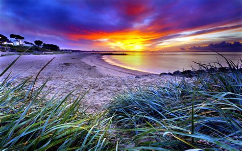 Beach Sand Coast Beaches Green Grass Horizon Sky Clouds Dawn Sunset
