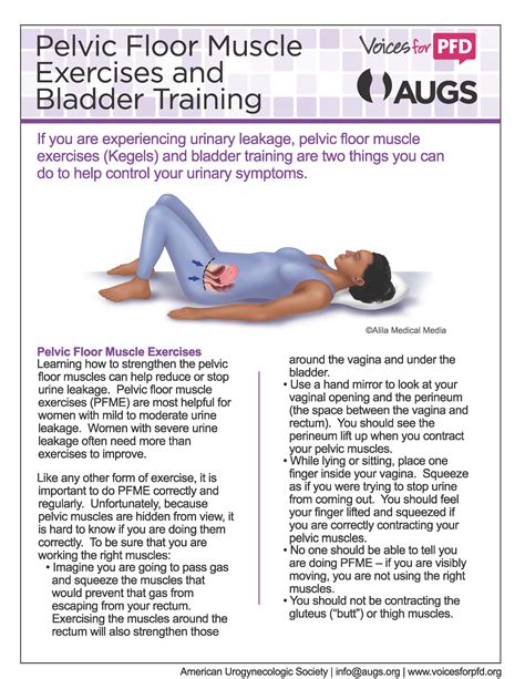 Fact Sheets Patient Summaries And Downloads Resources Voices For Pfd