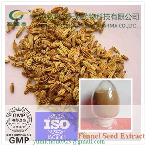 It, or its polymers, act as phytoestrogens. China High Quality Natural Organic Fennel Seed Extract ...