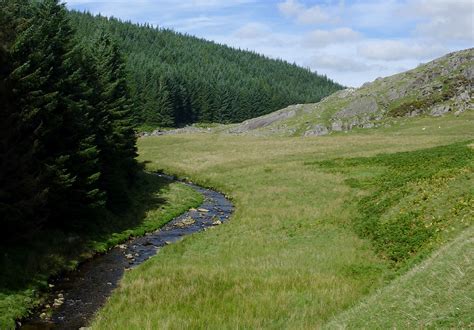Forest And Moorland By Nant Irfon Powys © Roger Kidd Cc By Sa20