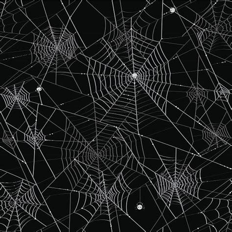 Spider Web Texture Stock Vectors Istock