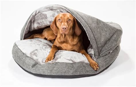 Dog Bed Large