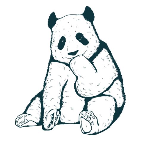 Panda Bear Cute Hand Drawn Transparent Png And Svg Vector File