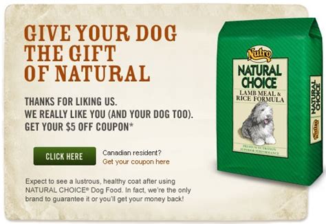 Looking to save money on your favorite brand? $5 off Nutro Dog Food