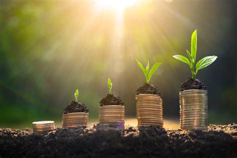 Saving And Investing The Art Of Planting Seeds For Financial Success