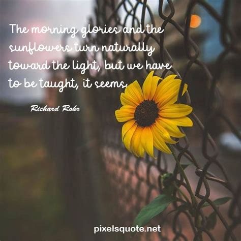.quotes, you are beautiful quotes for her or some you are beautiful messages for your girlfriend? Beautiful Sunflower Quotes with beautiful images in 2020 ...