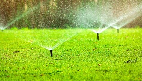 How often should i water my lawn? Best Way To Water Your Lawn Without A Sprinkler System (2021's Year Update)
