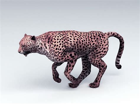 Leopard Free 3d Model In Wildlife 3dexport