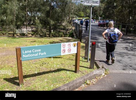 Lane Cove National Park Sydney Nsw Australia Stock Photo Alamy