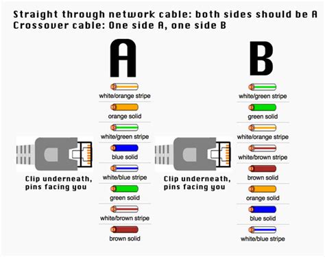 Computer science and engineering straight through and. Cat5E B Wiring Diagram : Ethernet Cable Wiring Diagram Beautiful Rj45 Straight Through ...