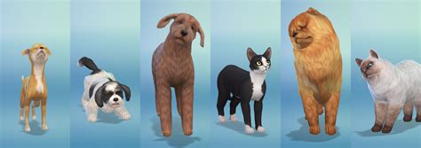 Sims 4 Cats And Dogs Recolors