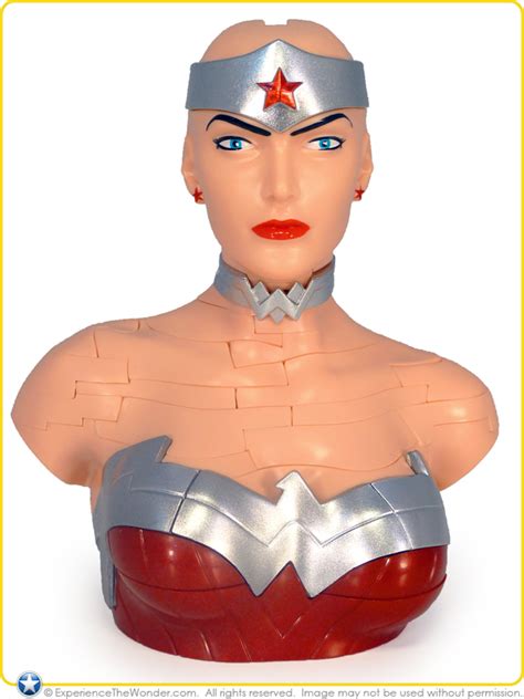 The amazons, a powerful tribe of warriors, have lived in peace for centuries on the tranquil island of themyscira. Happy Well DC Comics: Justice League (The New 52) 3D ...