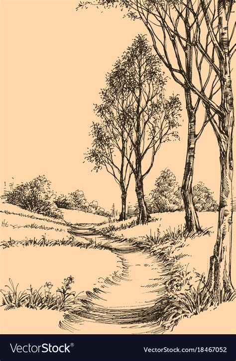A Path In The Park Sketch Wallpaper Royalty Free Vector