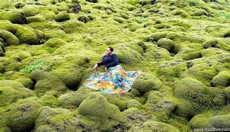 Icelands Eldhraun Lava Field Unmissable Sights Of Icelands Moss