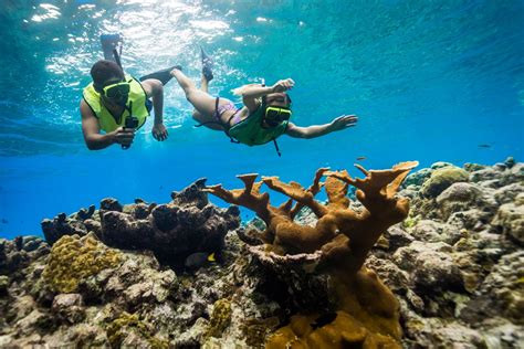 Where To Find The Best Snorkeling In The Caribbean Celebrity Cruises