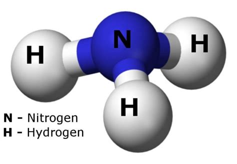 Is Ammonia An Acid Or Base Science Abc