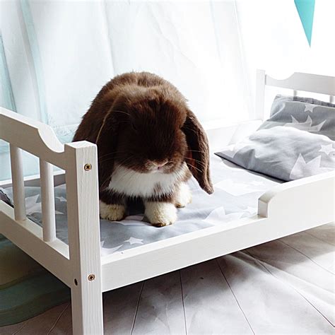 Snug As A Bunny Top 10 Wooden Rabbit Beds For A Cozy Hideaway Furry Folly