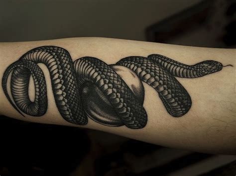Snake Apple Tattoo So Gorgeous Тату
