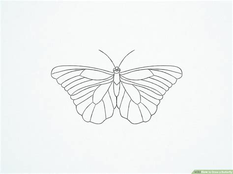 Helping kids inspire me, so i started a drawing tutorial blog. Easy Butterfly Drawings - samplesofpaystubs.com