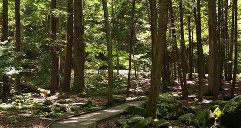 Jersey forest stokes state stroudsburg east nj located falls near dover nearby hopatcong buttermilk biome cabins mountain sunrise shore. Park Highlight: Welcome to Stokes State Forest in New ...