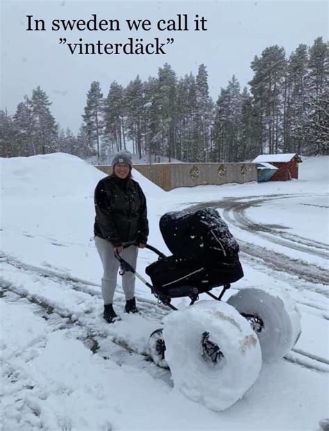 Meanwhile in Sweden.. - 9GAG