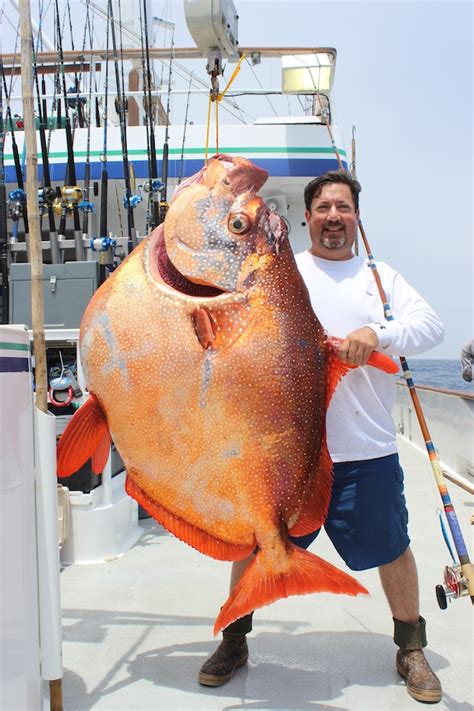 Tasting Hawaii With Molokai Chef James Temple Opah