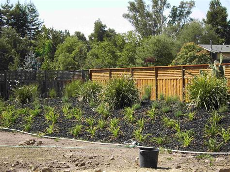 We understand how important your home is to you. Pin by Kris Fisch on For the Yard | Landscape, Outdoor ...