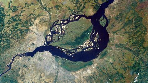 How Dead Fish Revealed Congo As The Deepest River On Earth Youtube