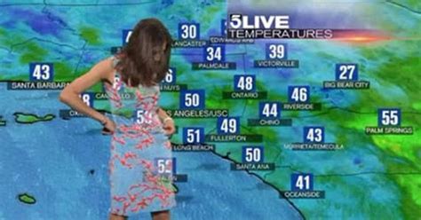 Weather Presenter Has A Disastrous Wardrobe Malfunction Live On Air Viral Videos Gallery