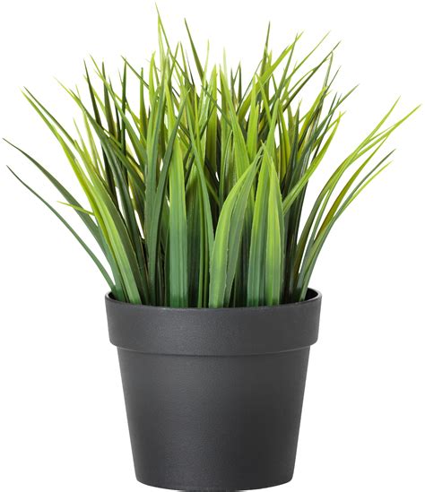 Potted Plants Png png image