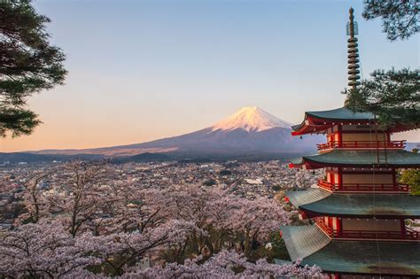 Flickrprucqvt Mtfuji Sakura Temple Morning Nikon
