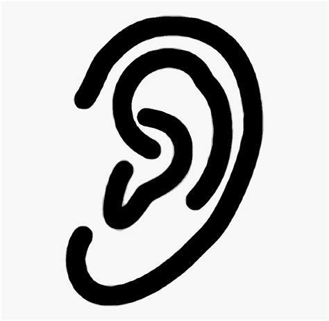Human Ear Png Image Ear Transparent Background Free Transparent Clipart Clipartkey