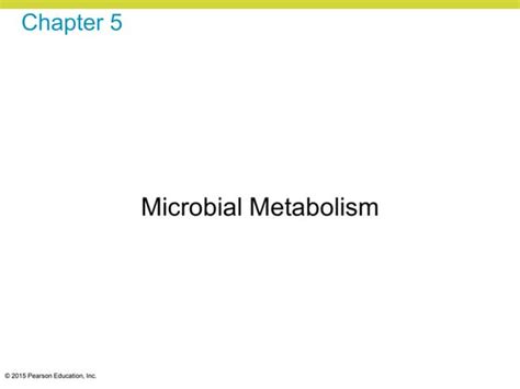 Microbiology Ch 05 Lecturepresentation Ppt