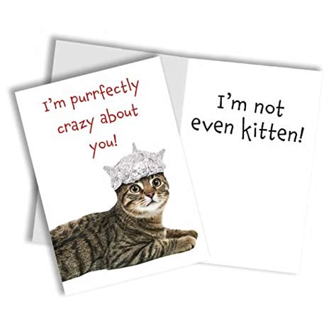 15 Best Funny Cat Valentine Cards To Make Your Loved One Laugh