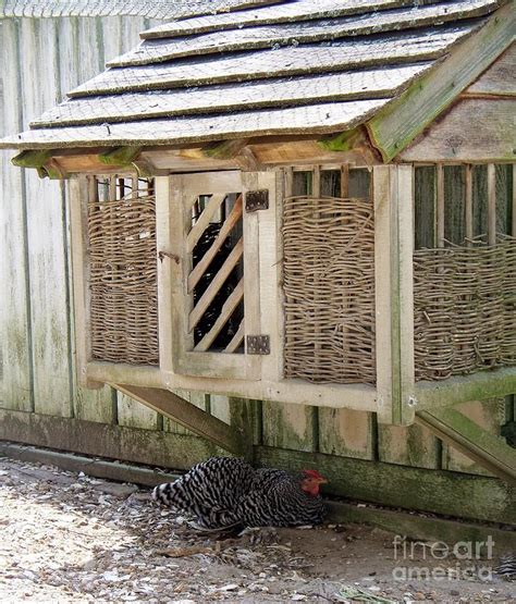 Tatyana Searcy Art Chicken Coop Plans Colonial Williamsburg Virginia