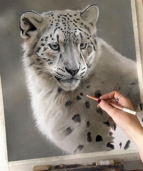 Progress On The Young Snow Leopard I Am Using A Combination Of Soft