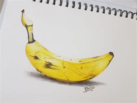 Drawing A Realistic Banana Athiras Artcasts