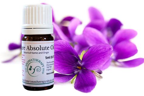 Egyptian Violet Pure Essential Oil Etsy Uk