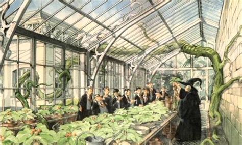The subject is depicted as closely related to potions, due to the nature of the plants, many of which are cultivated for extracting useful ingredients. Image - Herbology classroom (Concept artwork) 01.JPG ...