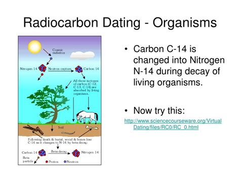 The genotype is considered a fossil to discover dating a 25 year old woman term nuclide. PPT - Geological Dating Part II Absolute PowerPoint ...