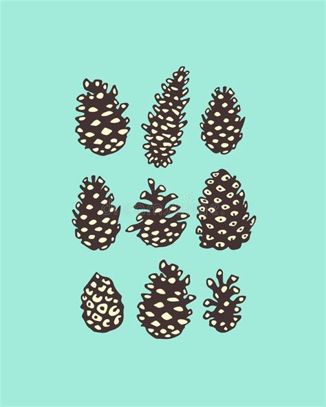 Pine Cones Illustration Stock Vector Illustration Of Season 77770469